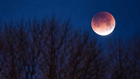 Eclissi Di Luna Cosè E Come Vederla Stasera Con Tutti Gli Orari