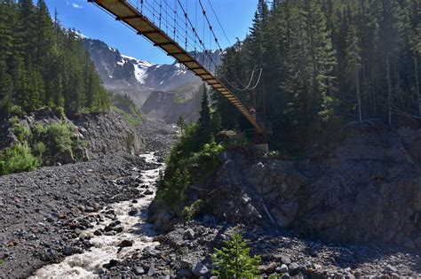 Scenic Trail Running Mount Rainer Suspension Bridge In Mt Rainier Via