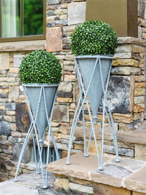 Winter Friendly Patio Plants Potted Plants For Winter Hgtv