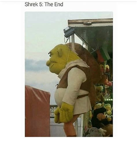 20 Really Funny Shrek Memes Thatll Make You Laugh Over And Over Again Love Brainy Quote