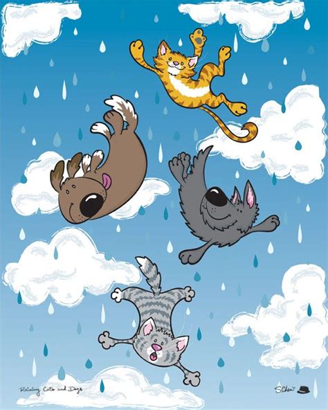 Dog Cat Raining Cats And Dogs Cats