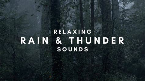 Mixed Relaxing Nature Sounds Without Music For 2022 Rain
