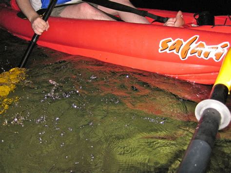 Night Kayaking Under A Full Moon Lake Washington Everyones Travel Club