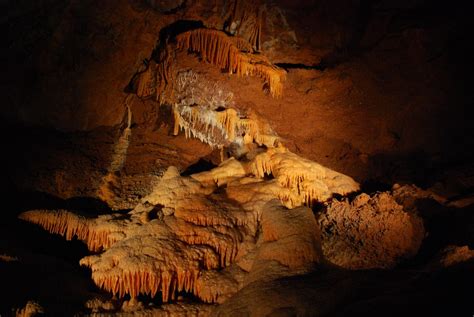 Karst Worlds Cave Dwelling Invertebrates Enjoy Exotic Cuisine