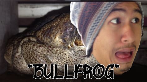Bullfrog Youtube