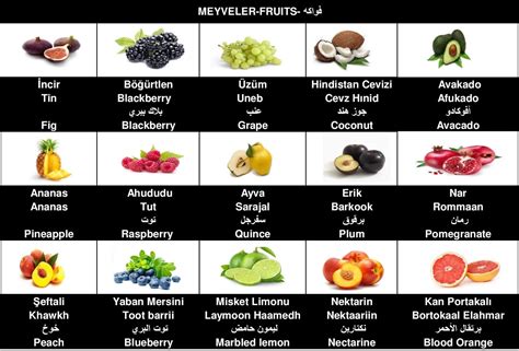 Merve Harikalar Diyarında Arapça Meyve İsimleri Ve Telaffuzları