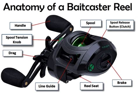 How To Use Baitcaster Reels A Beginner S Guide