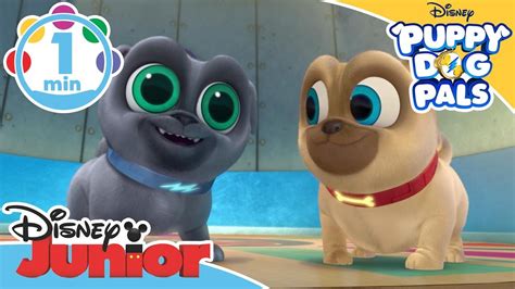 Puppy Dog Pals Going On A Mission Music Video Disney Junior Uk