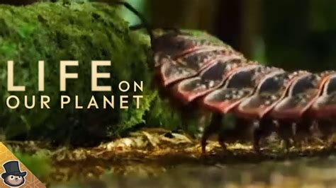 New Clip Arthropleura The Giant Millipede Life On Our Planet