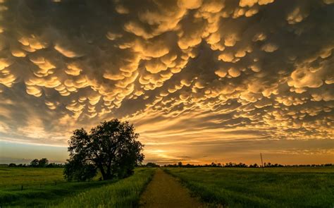 Mammatus Clouds Everything You Need To Know