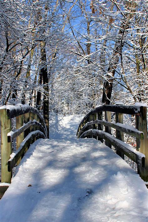 Walking In A Winter Wonderland Photograph By Kristin Elmquist Fine