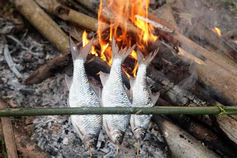 humans were using fire to cook food 780 000 years ago