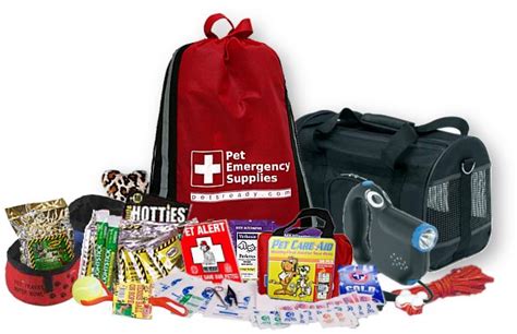 Create A Pet Emergency Survival Kit Ontario Spca And Humane Society