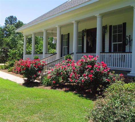You can see another items of this gallery of 15 best ideas to create your front home beautiful with flower beds below. red roses in front of the house | Knockout roses, Southern ...