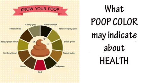 Stool Color Chart What Different Poop Colors Mean 25 Doctors A Guide