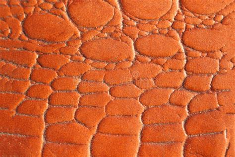 Orange Texture Leather Skin Stock Image Image Of Color Fashion 81843259