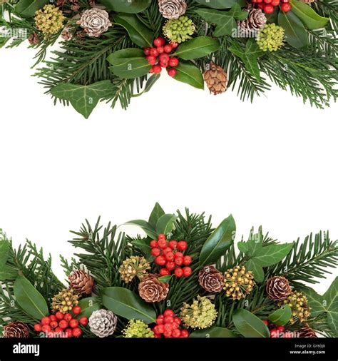 Winter And Christmas Greenery Border With Holly Ivy Pine Cones Cedar