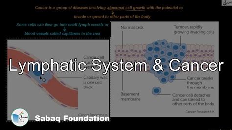 Lymphatic System And Cancer Biology Lecture Sabaqpk Youtube