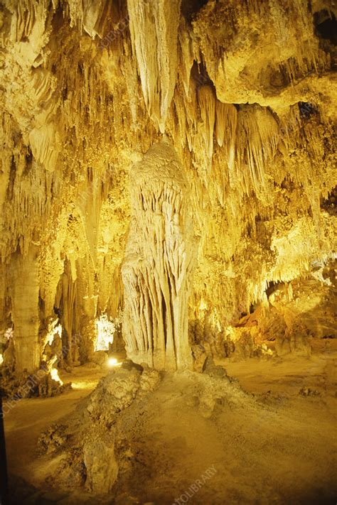Stalactites In Carlsbad Caverns Stock Image E5820047 Science