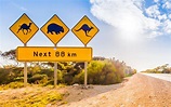 Five spectacular road trips through Western Australia