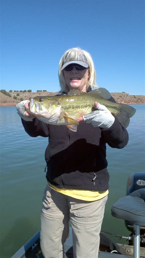 Bass Fishing New Mexico Elephant Butte Lake Fishing Report