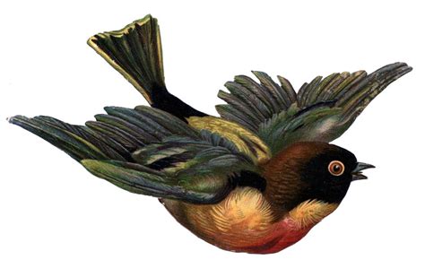 Victorian Scrap Clip Art Flying Bird The Graphics Fairy Vintage