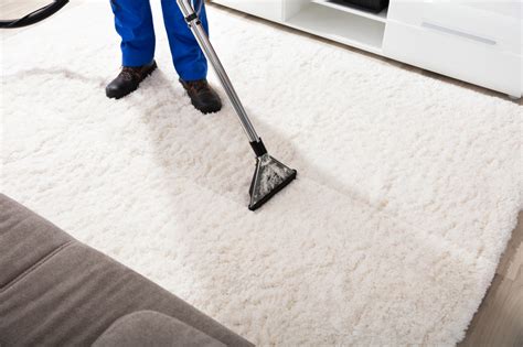 How To Keep Your Carpets Clean At Home Zanjani Cleaning Service