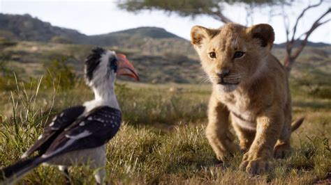 The Lion King Disneys Latest Cartoon Vs Live Actions Aka Cgi