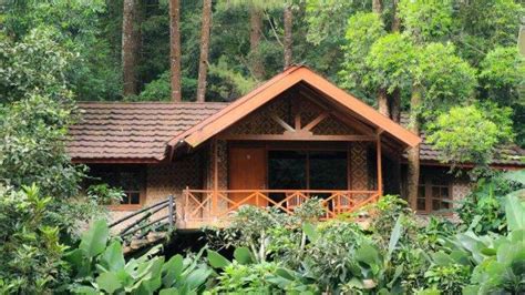 Rekomendasi Hotel Di Bogor Kawasan Puncak Sejuk Dan Menyatu Dengan Alam