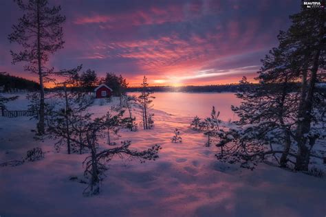 Great Sunsets Trees House Ringerike Snowy Winter Viewes Norway