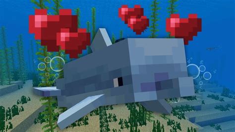How To Tame A Dolphin In Minecraft And Ride It Minecraft Guide