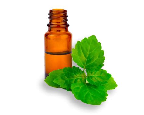 The Benefits Of Using Patchouli Essential Oil N Essentials Pty Ltd