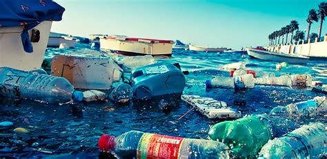 Más De 200 Kilos De Plásticos Por Segundo Se Tiran En Mares Y Océanos