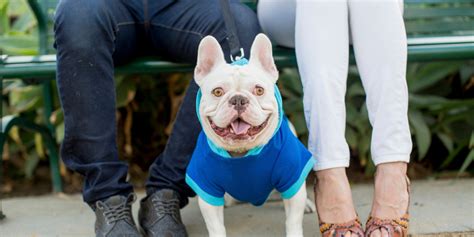 A New Dating App For Dog Lovers Just Launched And We Totally Dig It