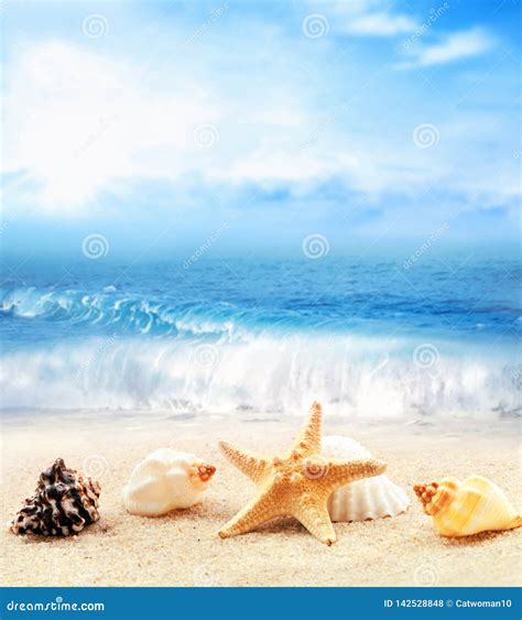 Summer Beach Seashell And Starfish On A Sand And Ocean As Background