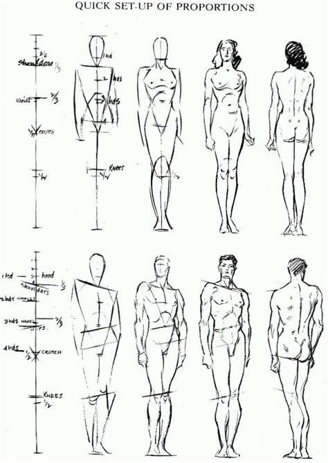 quick setup of human proportions human figure sketches male figure drawing figure sketching