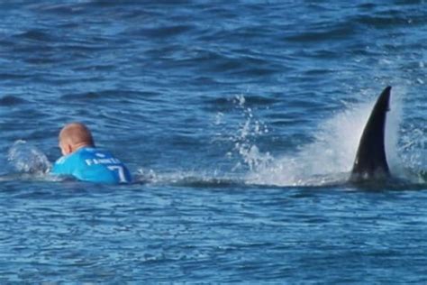 mick fanning shark attack caught on video kelly slater surfers left