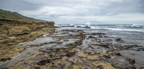 Show Me A Picture Of A Tide Pool Img Internet