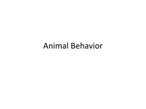 Ppt Animal Behavior Powerpoint Presentation Free Download Id2510103