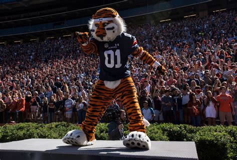 Happy Birthday Aubie 30 Pictures Of Our Favorite Mascot