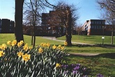 Universität Sussex