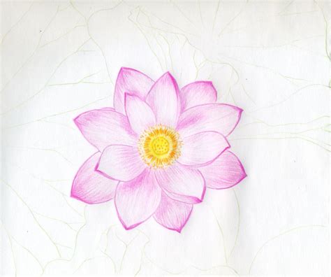 Pink Flower Drawing At Getdrawings Free Download