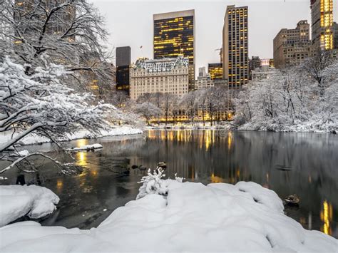 Central Park New York City Snow Stock Photo Image Of Snowdrift Snow