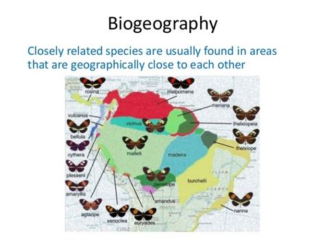 02 Evidence Of Evolution Biogeography