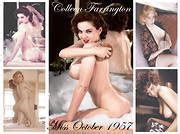 Colleen Farrington Nude Telegraph
