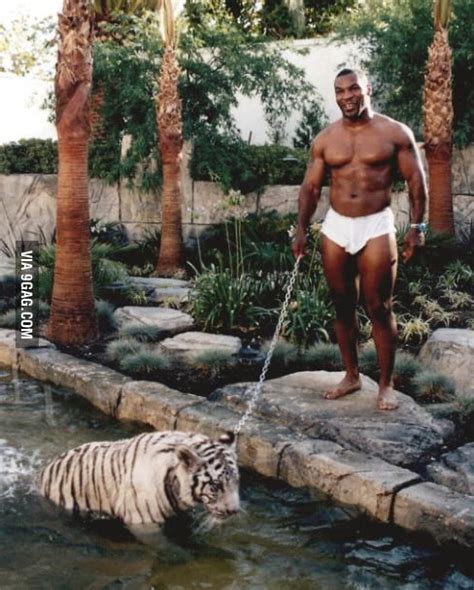 tyson with his tiger 9gag