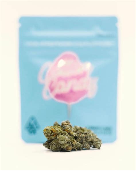 Buy Cotton Candy Strain Cotton Candy Strain Gas House Store