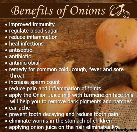 33 Unique Health Benefits Of Onion You Must To Know My Health Only