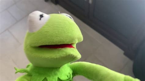 Kermit In An Actual Video Youtube