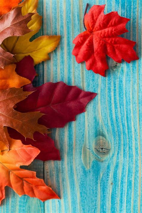 Iphone Autumn Leaves Wallpaper Hd Gambar Wallpaper Keren